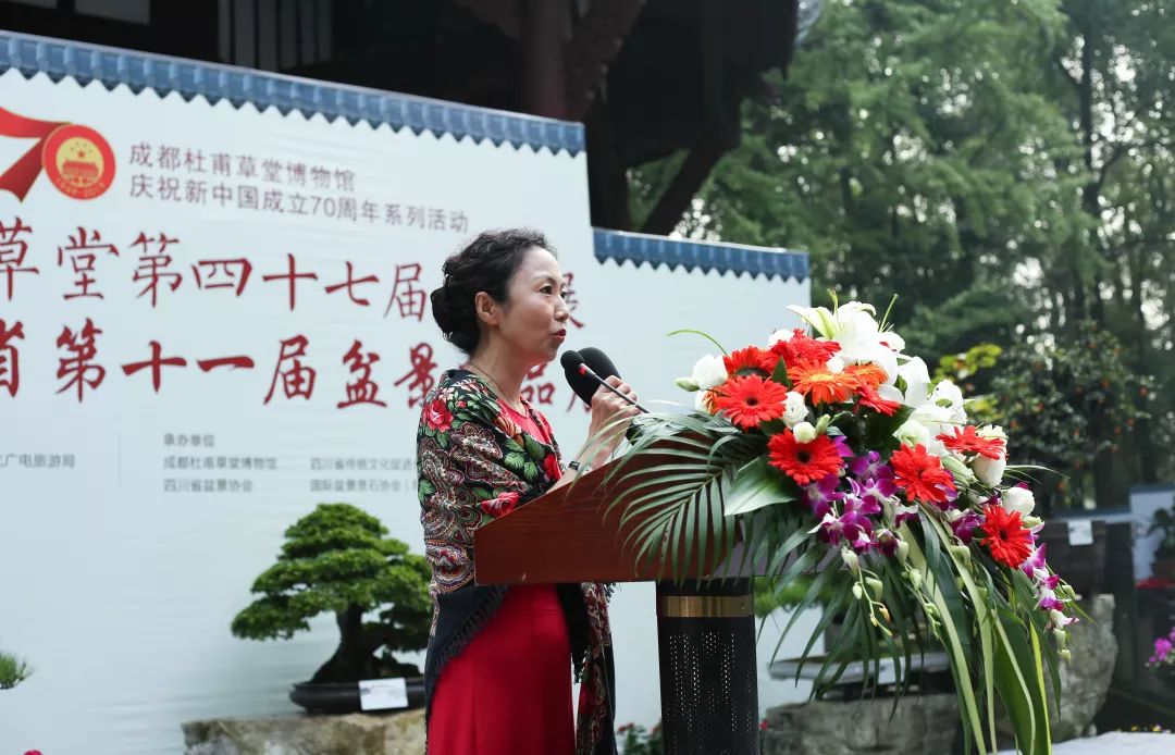 中华文化添锦绣 川派盆景铸辉煌——川派盆景精品展昨日盛大开幕！(图6)