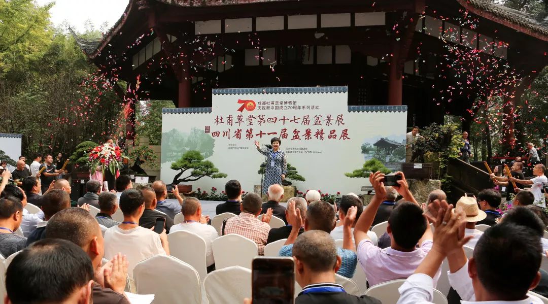 中华文化添锦绣 川派盆景铸辉煌——川派盆景精品展昨日盛大开幕！(图10)