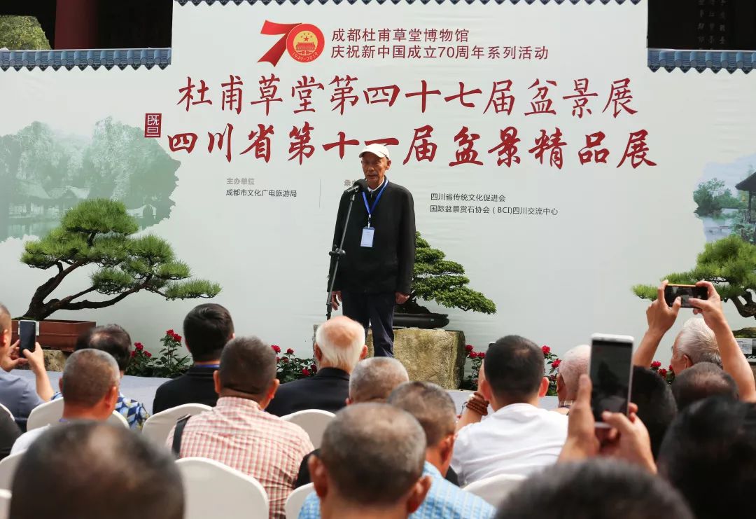 中华文化添锦绣 川派盆景铸辉煌——川派盆景精品展昨日盛大开幕！(图9)