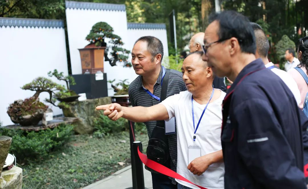 中华文化添锦绣 川派盆景铸辉煌——川派盆景精品展昨日盛大开幕！(图26)