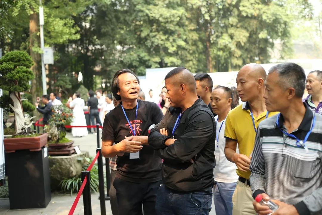 中华文化添锦绣 川派盆景铸辉煌——川派盆景精品展昨日盛大开幕！(图24)