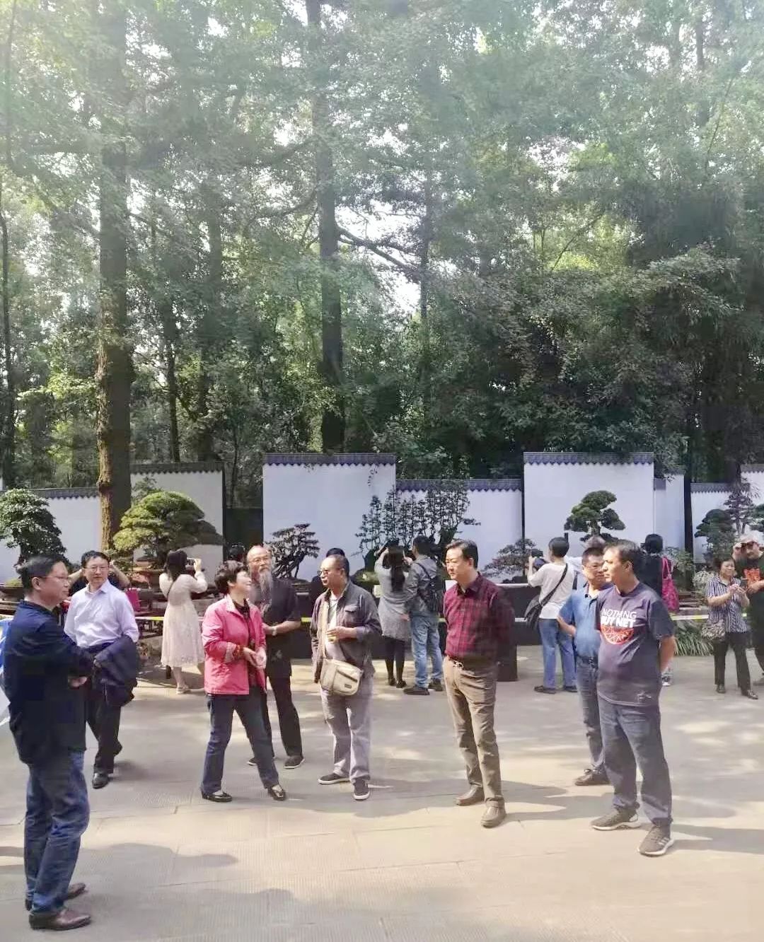 明天见！倒计时1天，优秀川派盆景作品齐亮相(图7)