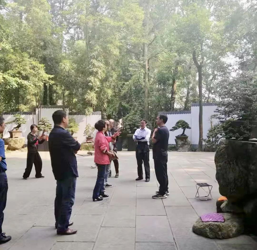 明天见！倒计时1天，优秀川派盆景作品齐亮相(图8)