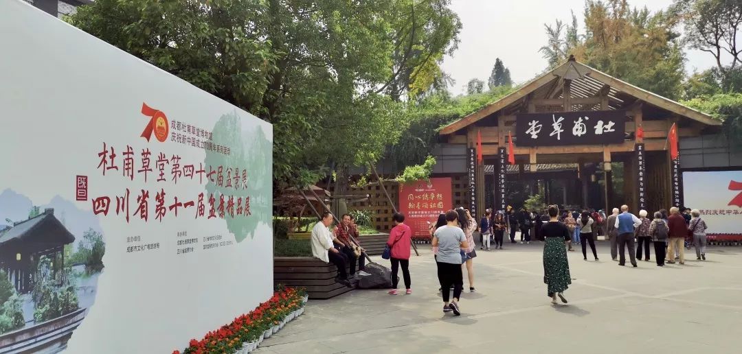 明天见！倒计时1天，优秀川派盆景作品齐亮相(图2)