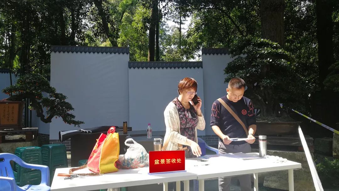 明天见！倒计时1天，优秀川派盆景作品齐亮相(图3)