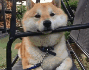 东门市井9月28日正式开街：这个国庆等你来逛吃逛吃！(图19)