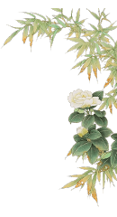 端午情浓丨在川茶府不可错过的夏季鲜食 (图9)