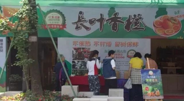 县长带队推广产品，众大咖齐帮忙“精准扶贫”，五一“橙香”文殊坊！ (图3)