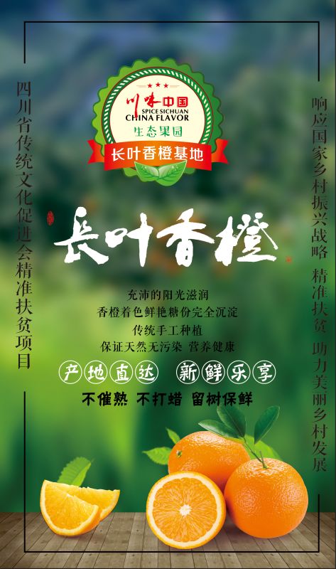 “响应国家乡村振兴战略，精准扶贫，助力美丽乡村发展”——川味中国生态果园5·1“橙香”文殊坊 (图1)