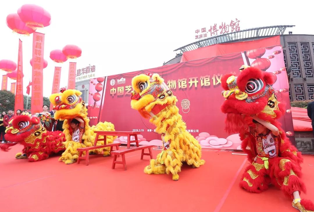 芝麻开门——中国芝麻油博物馆成都隆重开馆！ (图12)