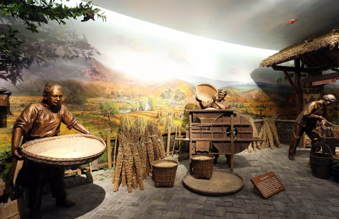 芝麻开门——中国芝麻油博物馆成都隆重开馆！ (图28)