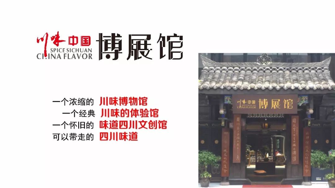 范锐平书记支招“川味”文创产业的发展 (图2)