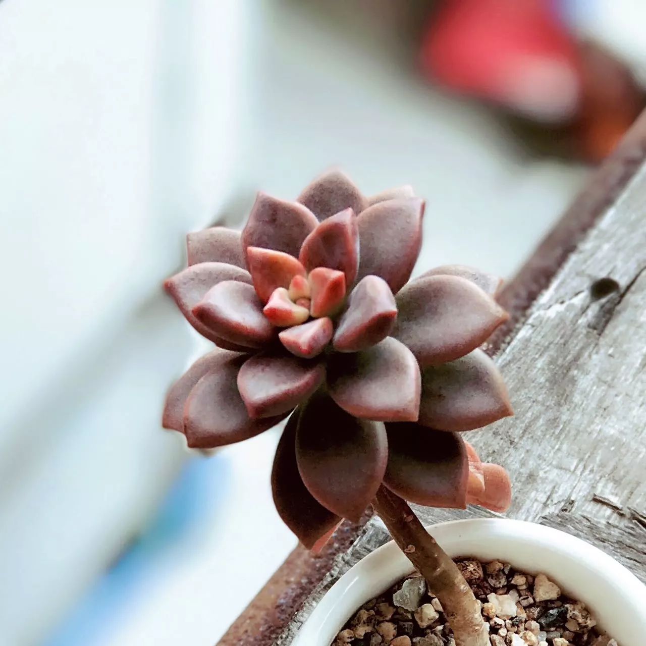 川味中国文创馆，一个可以承包你所有空档期的地方～(图1)