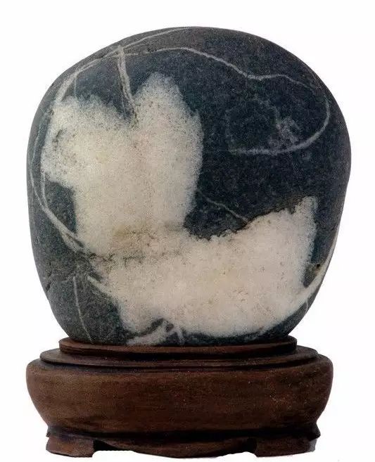 川味中国文创馆 奇石展即将开幕 (图9)