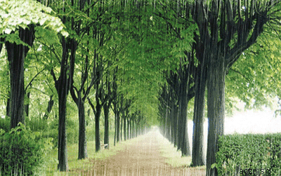 江油在外人才联谊会在川味中国文创馆举行(图1)