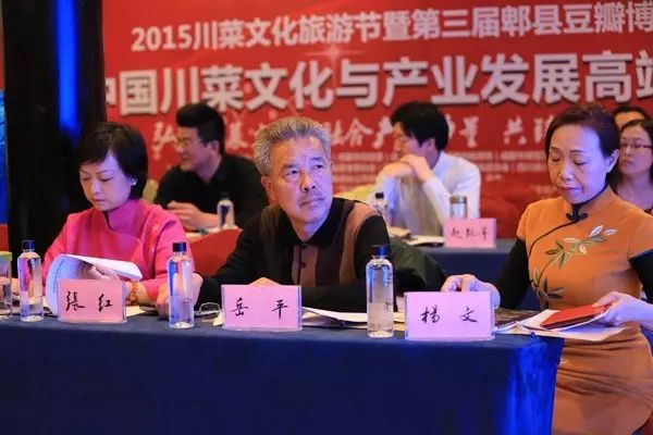 川味中国风雨历程||2015年3月 川菜文化与产业发展高端论坛(图7)