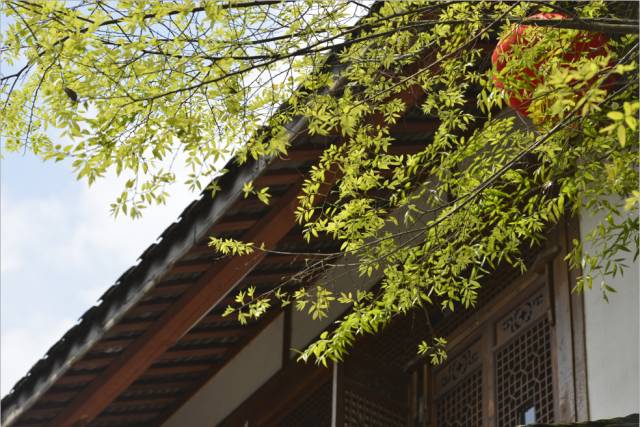 512汶川大震9年，传统文化生态重建让灾区涅槃重生 (图11)