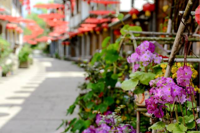 512汶川大震9年，传统文化生态重建让灾区涅槃重生 (图32)