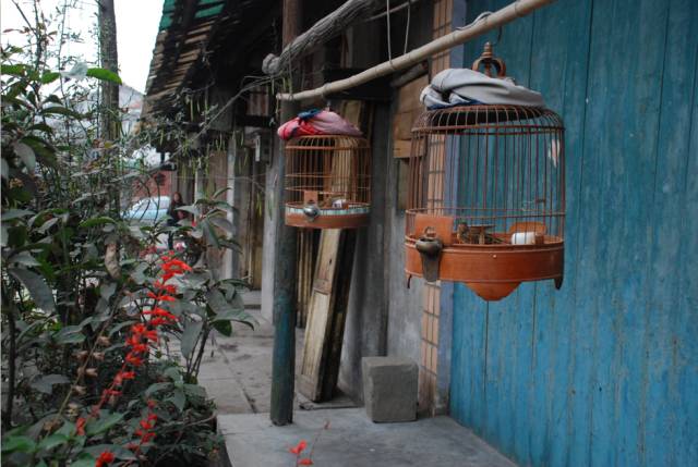 512汶川大震9年，传统文化生态重建让灾区涅槃重生 (图30)