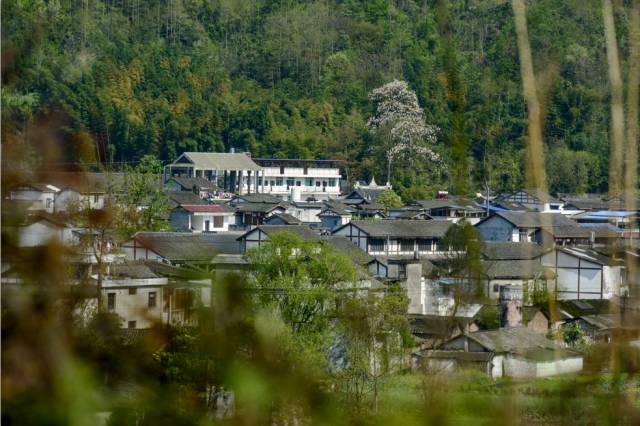 512汶川大震9年，传统文化生态重建让灾区涅槃重生 (图20)