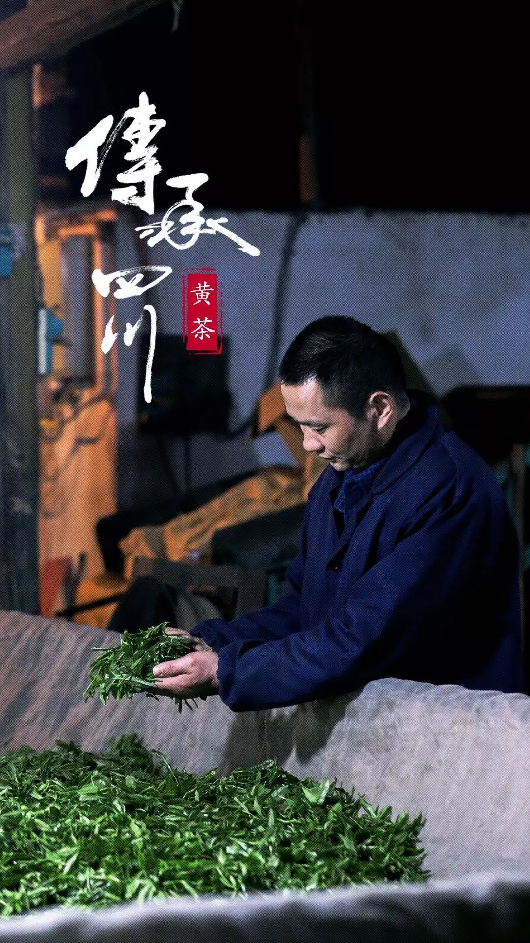 你品到的这杯茶，他花了30年时光 (图1)