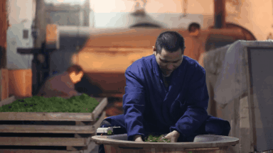 你品到的这杯茶，他花了30年时光 (图3)