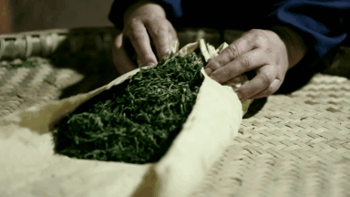 你品到的这杯茶，他花了30年时光 (图6)