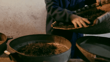 你品到的这杯茶，他花了30年时光 (图8)