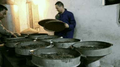 你品到的这杯茶，他花了30年时光 (图9)