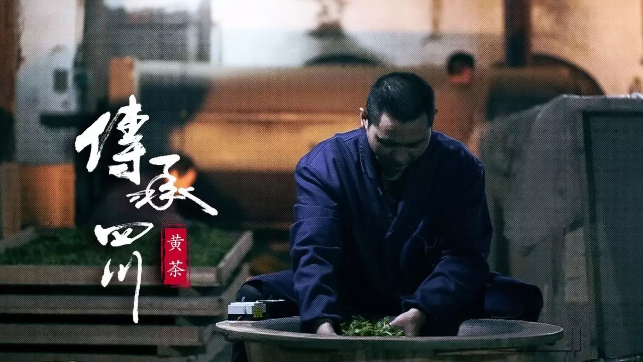 你品到的这杯茶，他花了30年时光 (图14)