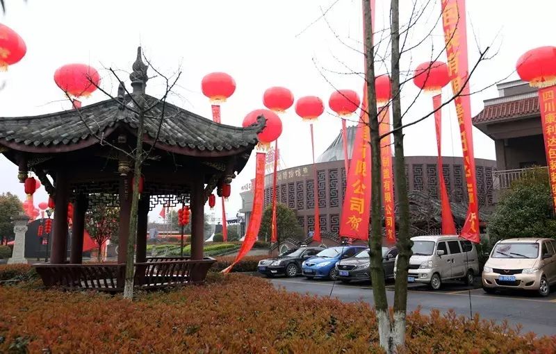 25年历程、2周筹备、3个日夜，1场盛大的庆典是如何举办的 (图7)