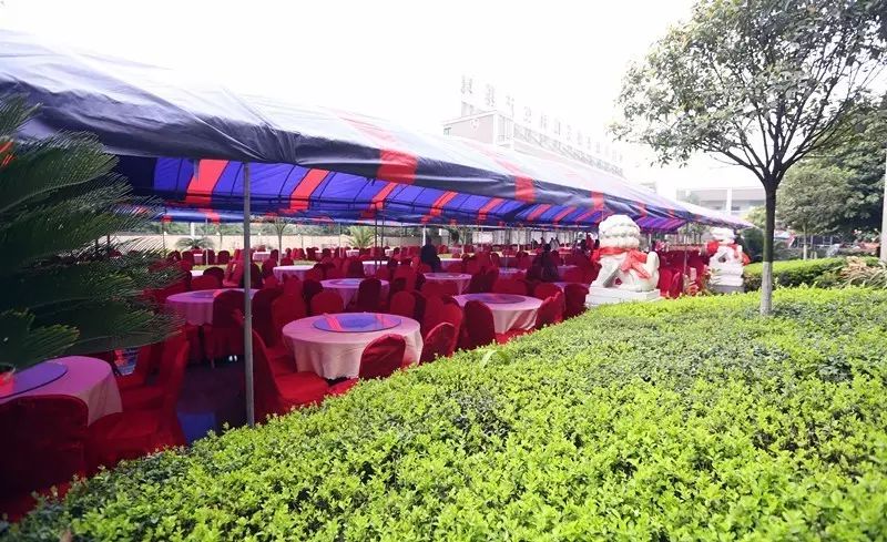 25年历程、2周筹备、3个日夜，1场盛大的庆典是如何举办的 (图32)