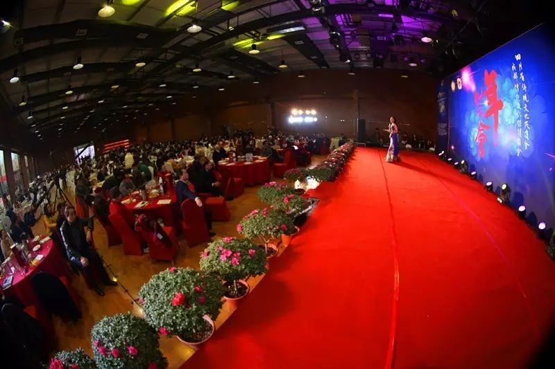 “论道文化艺术发展、传承川味产业精神”2016四川文化艺术产业界年会隆重举行 (图12)