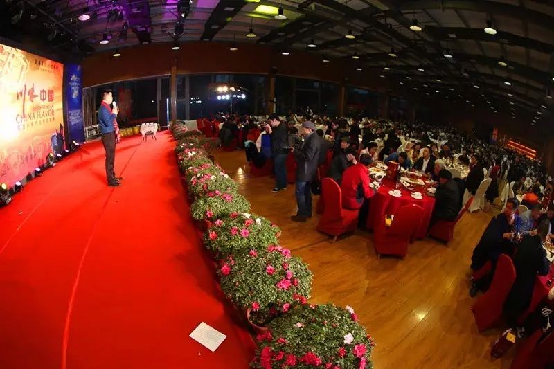 “论道文化艺术发展、传承川味产业精神”2016四川文化艺术产业界年会隆重举行 (图37)