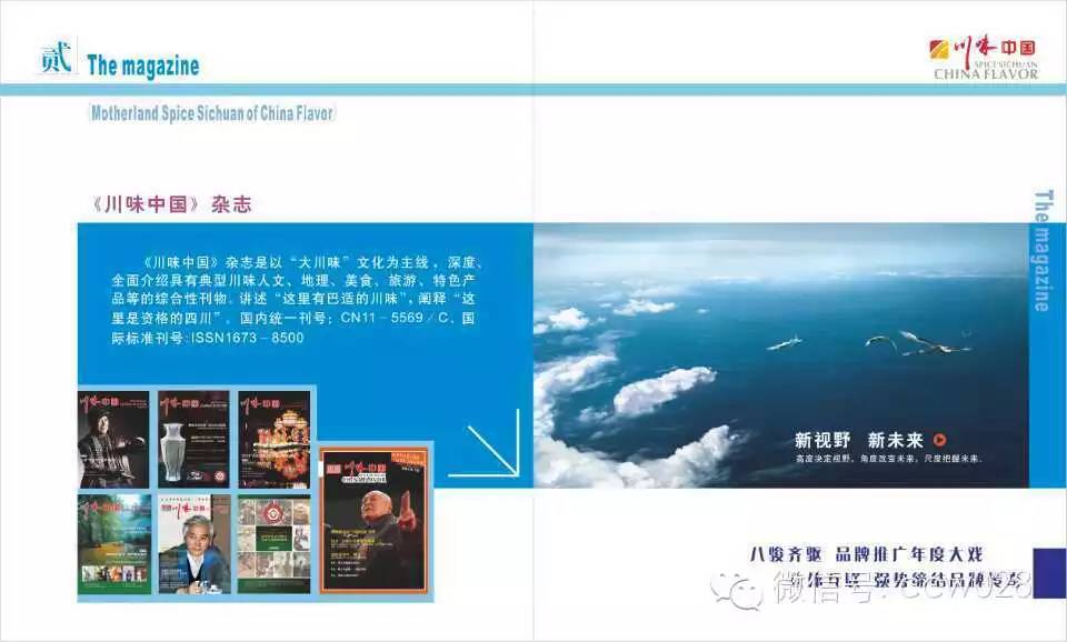 川味中国媒体集群2015年度推广大幕开启(图3)