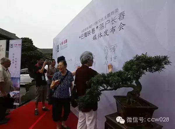 东北西南跨区联动 国内首座“巴蜀商街(图6)