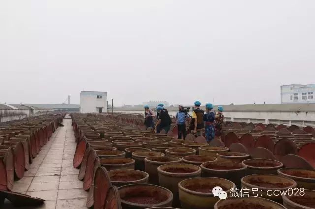 川味中国策划录制四川电视台《川厨领秀》节目(图73)