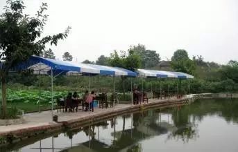 优雅宁静的天府农家 (图3)