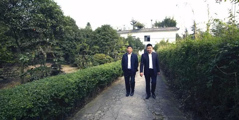  沈阳道义经济开发区吕殿友书记一行到访成都“对话川味” (图8)