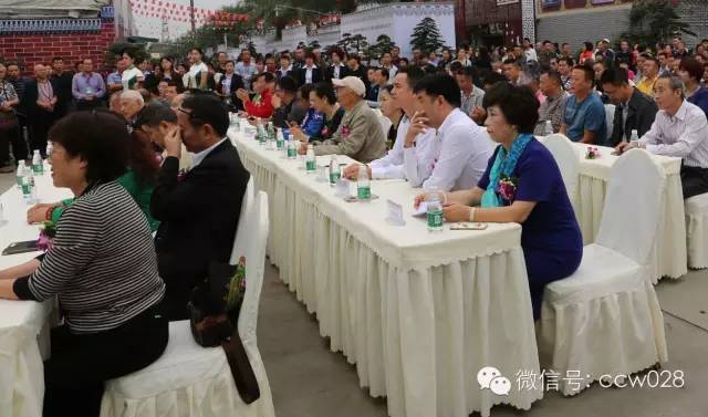 第七届盆景展：盆为纸 景为诗 (图2)