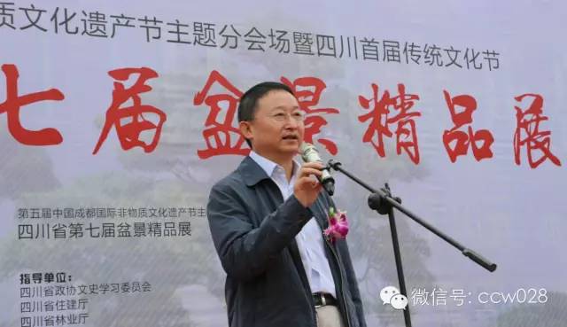 第七届盆景展：盆为纸 景为诗 (图4)