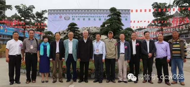 第七届盆景展：盆为纸 景为诗 (图7)