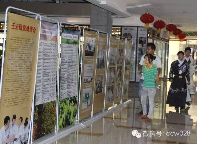 著名茶人茶文化展 (图3)