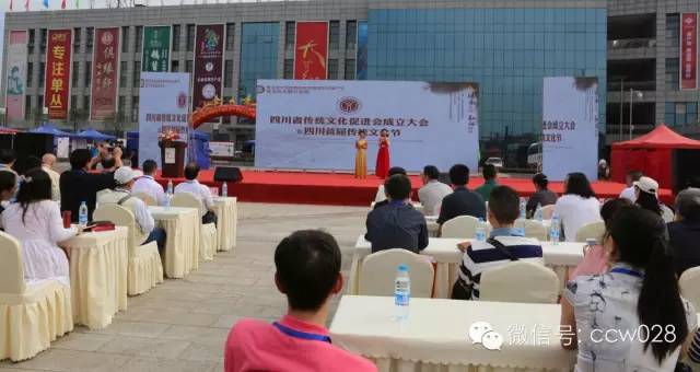 四川首届传统文化节开幕 (图1)