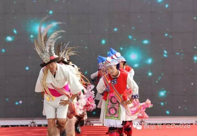 四川首届传统文化节开幕 (图6)