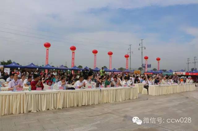 四川首届传统文化节开幕 (图3)