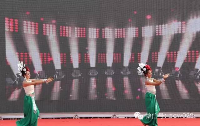 四川首届传统文化节开幕 (图5)