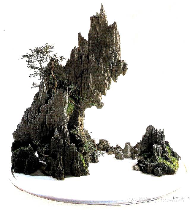 盆景大师——秦树森 (图3)