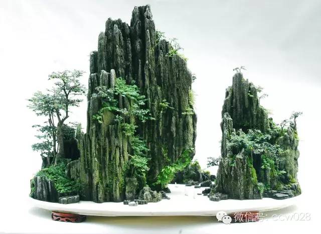 盆景大师——秦树森 (图2)