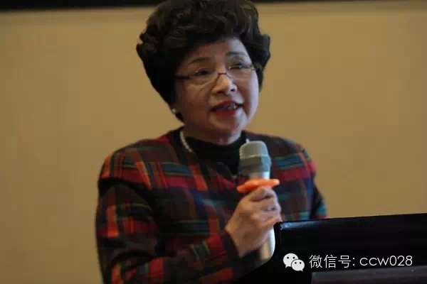 对话川味发展论坛(图1)